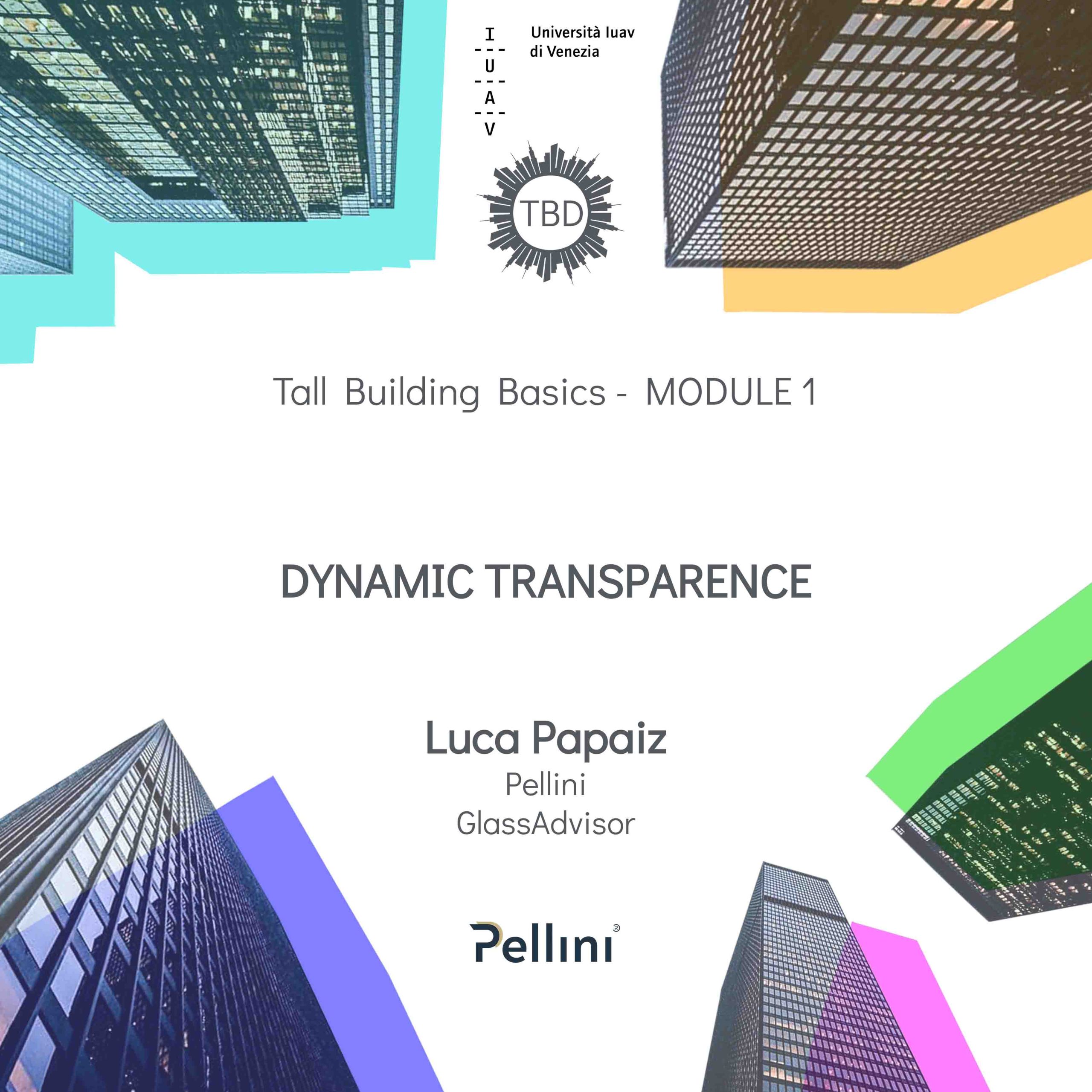 2021_12_10_Luca Papaiz - Dynamic Transparence